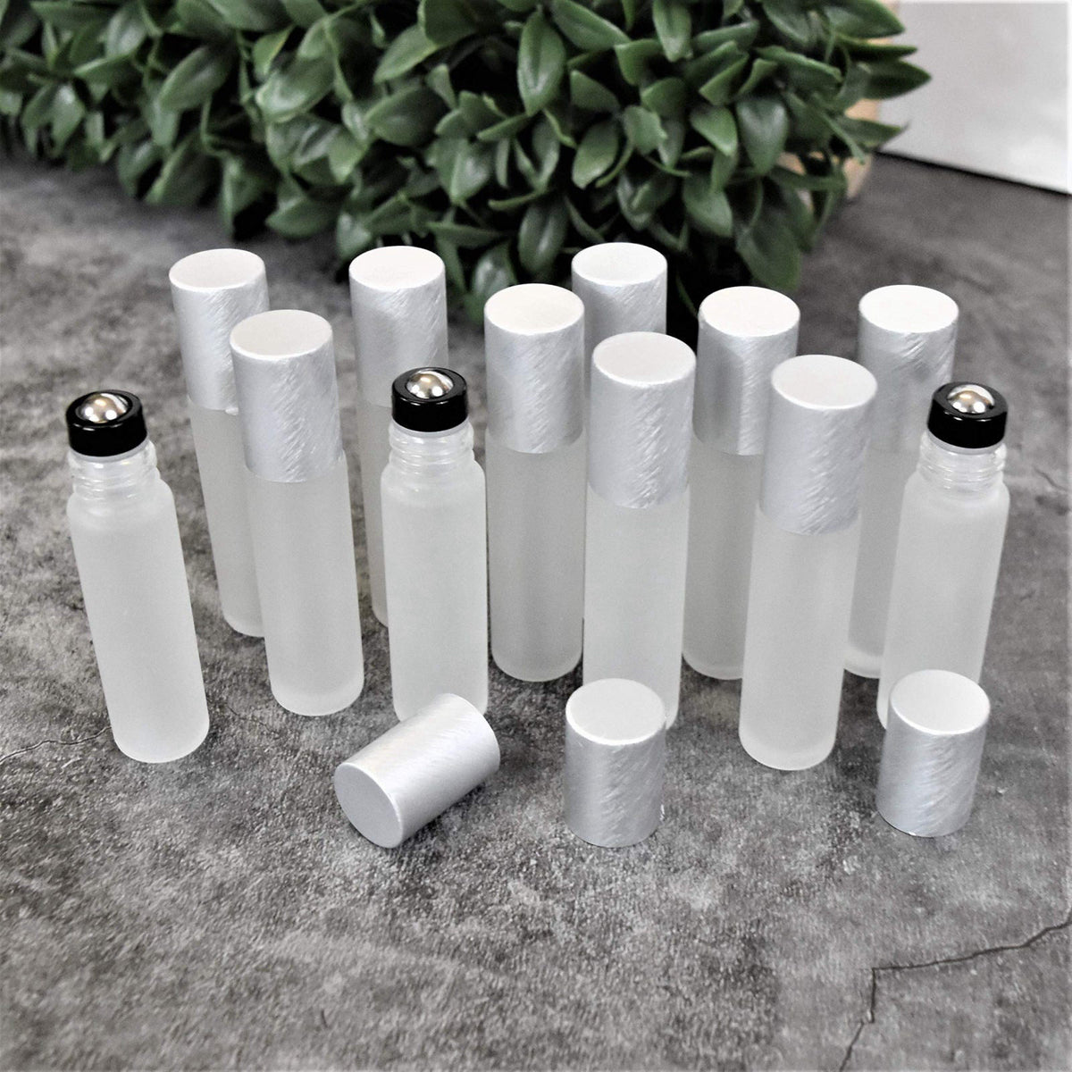 Holistic Oils 12-Pack Frosted Clear Glass Roller Bottles with Brushed Silver Leakproof Caps – Premium Quality Empty Roll