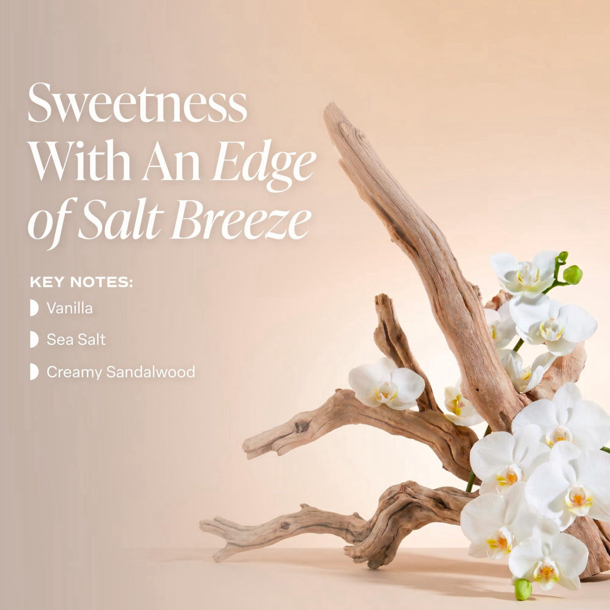 Saltair – Deodorant on display