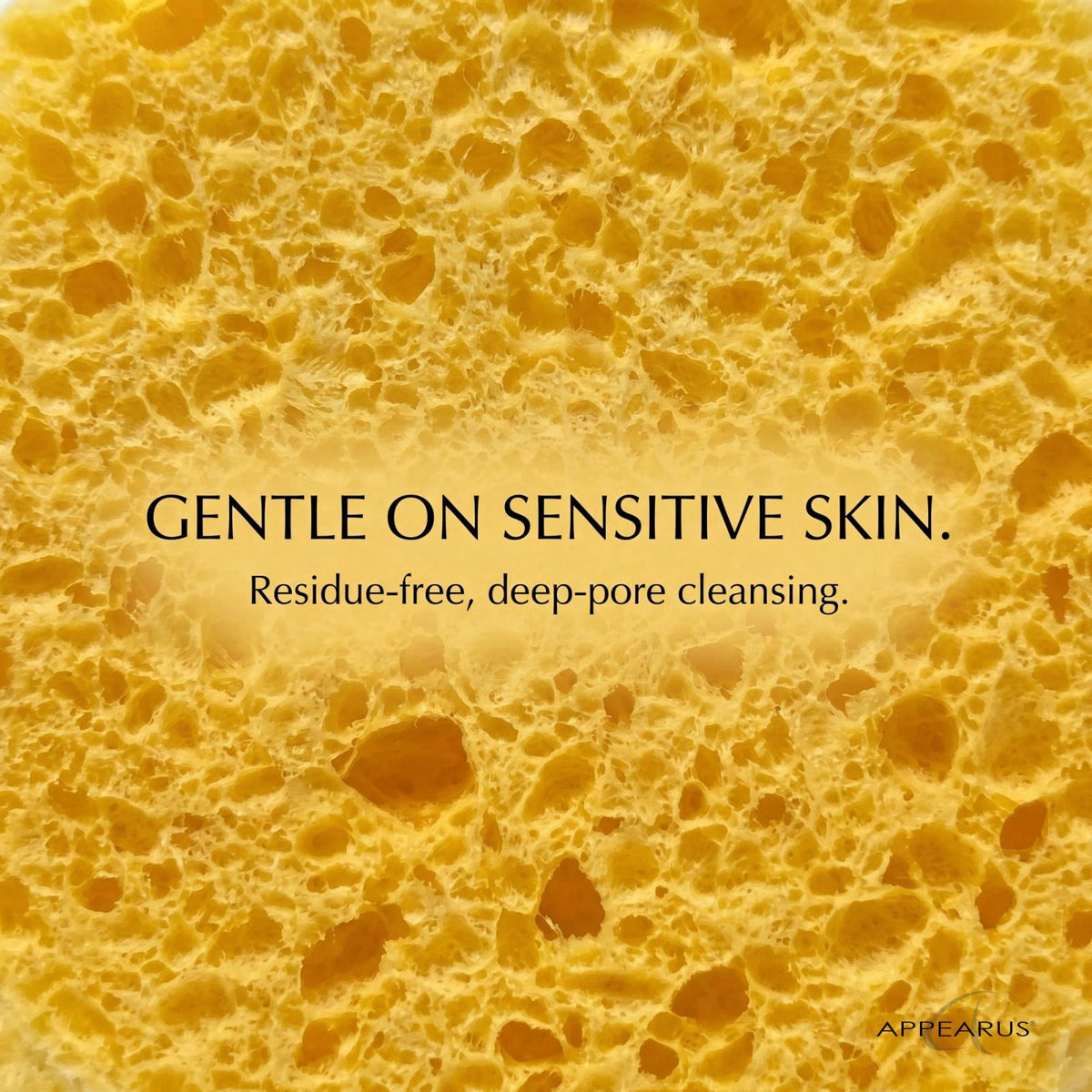 APPEARUS Compressed Natural Cellulose Facial Sponges 50 Count Yellow – full view, size 3 in dia x 3/8 in 3 in dia x 3/8 