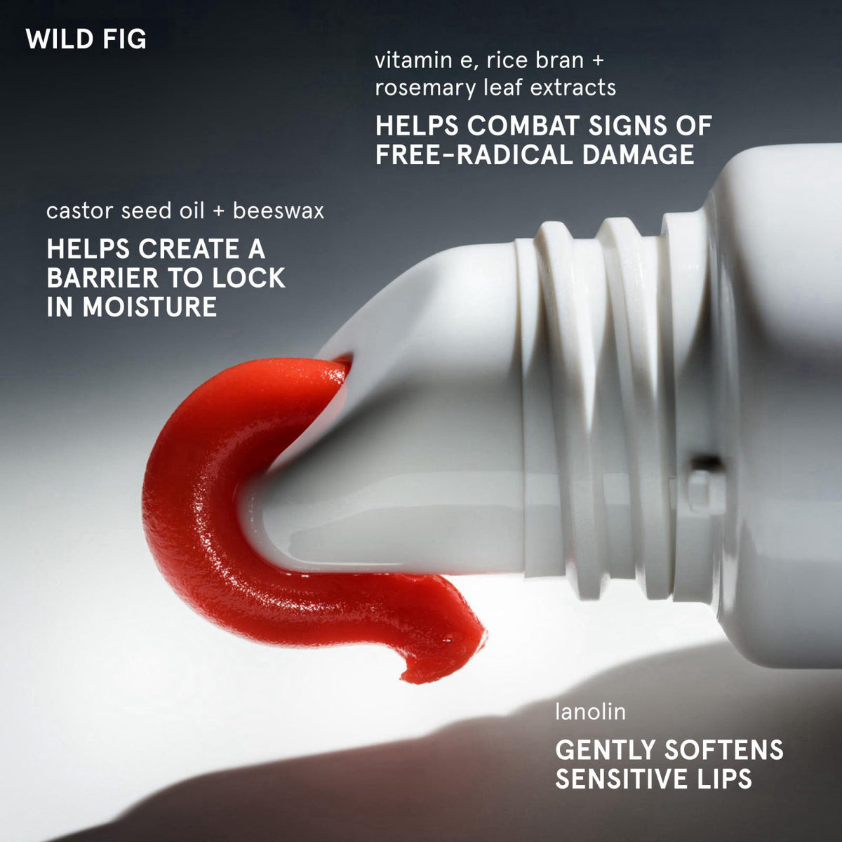 Glossier Tinted Balm Duo - Wild Fig (15ml) & Black Cherry Lip Balm (15ml), Hydrating Care with Sheer Coral & Burgundy Ti