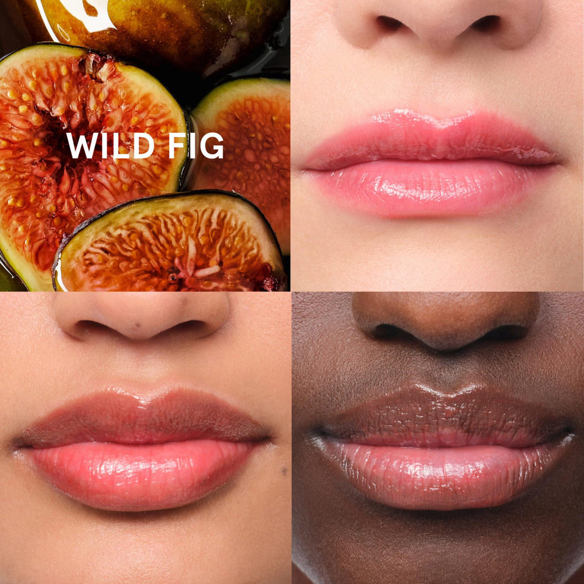 Glossier Tinted Balm Duo - Wild Fig (15ml) & Black Cherry Lip Balm (15ml), Hydrating Care with Sheer Coral & Burgundy Ti