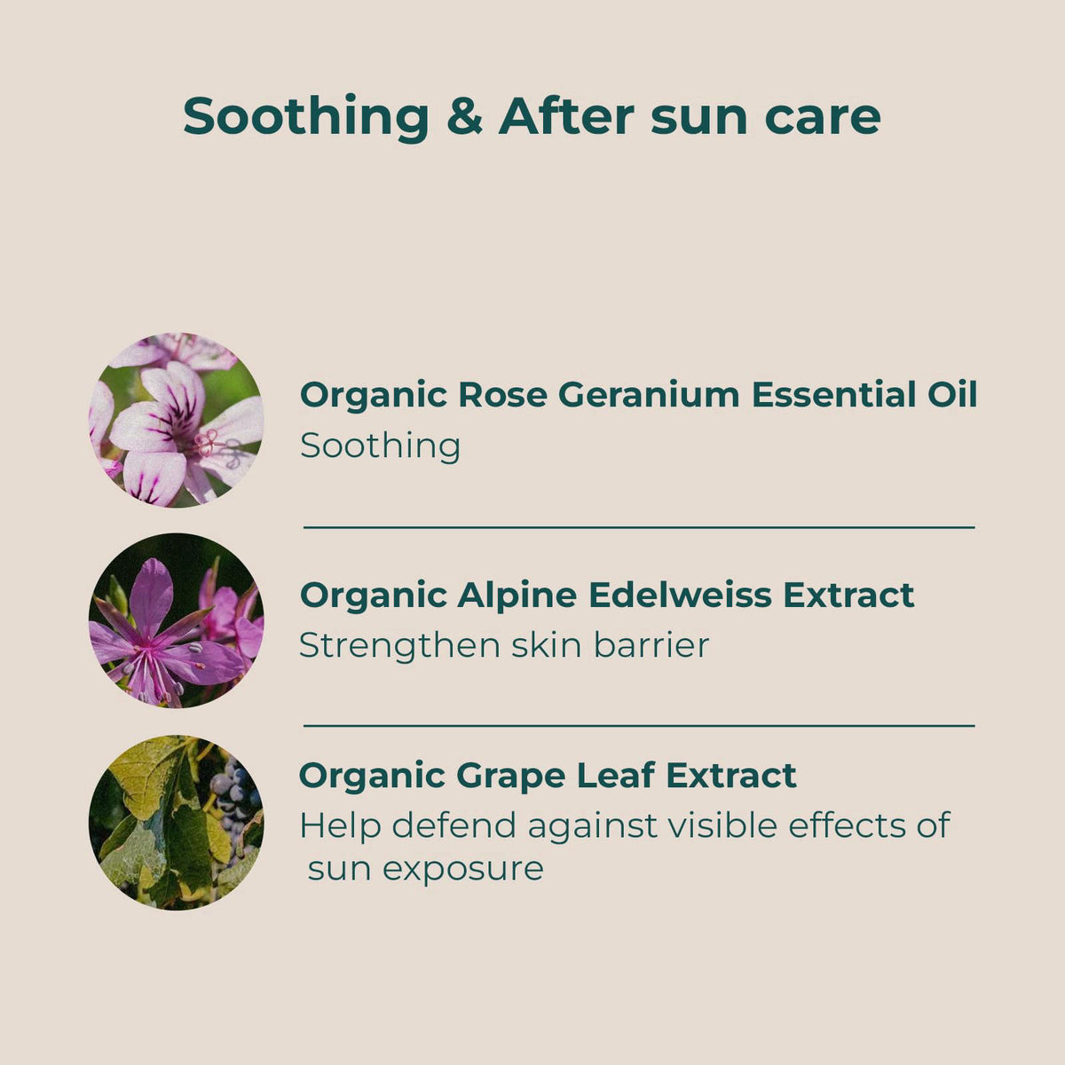 INNA ORGANIC Organic Sheet Mask Set, After Sun Care & Soothing Face Mask for Women, EWG & COSMOS Certified Clean Beauty,