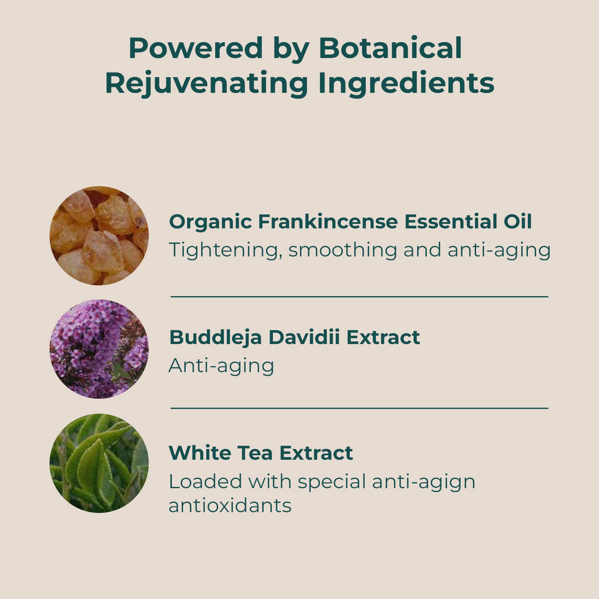 INNA ORGANIC Organic Sheet Mask - Anti-aging & Tightening｜EWG & COSMOS certified (Pack of 3) | Frankincense Essential Oi