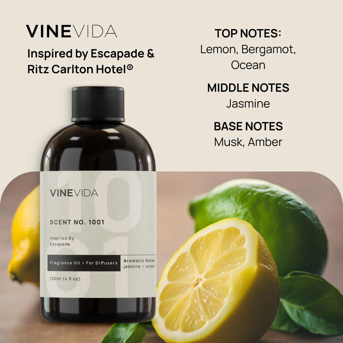 VINEVIDA Studio Waterless Diffuser and 3 Hotel Fragrance Oils - Diffuser for Home - Room Fragrance Air Diffuser [White A