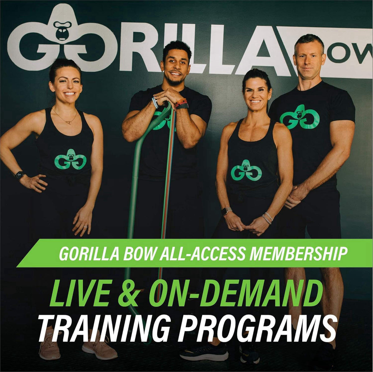 Gorilla Bow Lite All-in-One Home Gym System, Portable Resistance Band Bar for Strength Training, HIIT & Full Body Workou