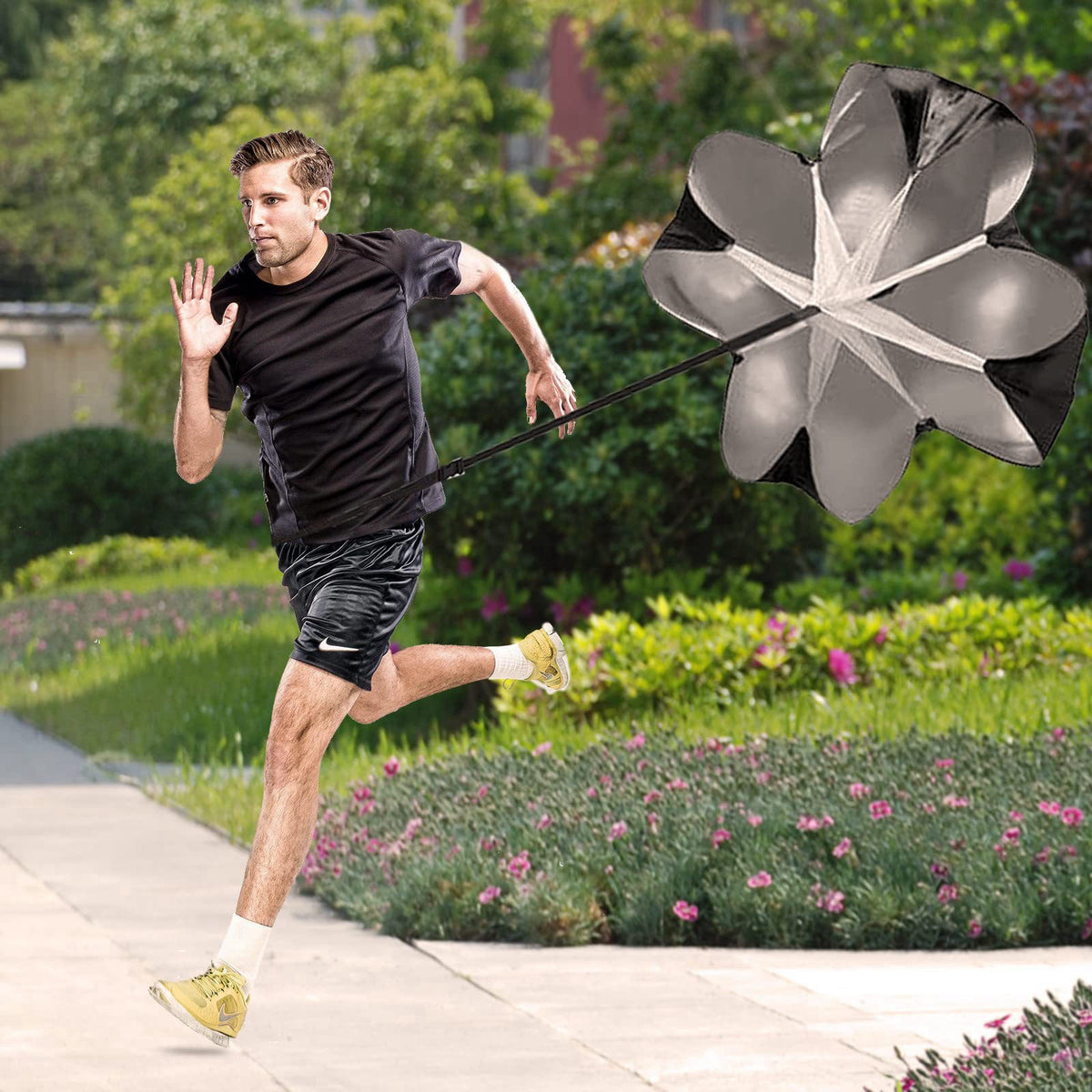 Kvittra – Speed Hurdles on display