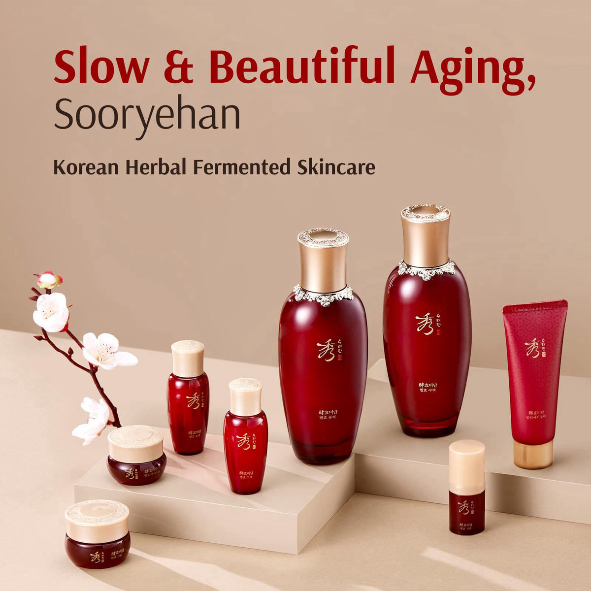 Sooryehan Hyobidam Fermented Skincare Gift Set with Wild Ginseng - Premium Korean Anti-Aging Skin Care Kit for Intense H