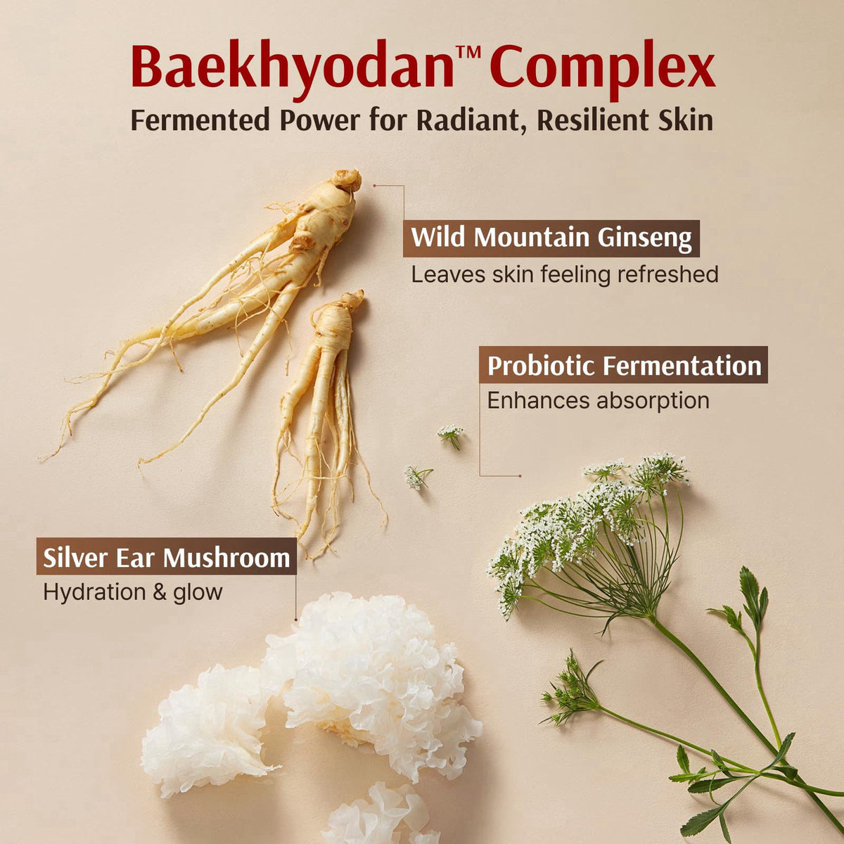 Sooryehan Hyobidam Fermented Skincare Gift Set with Wild Ginseng - Premium Korean Anti-Aging Skin Care Kit for Intense H