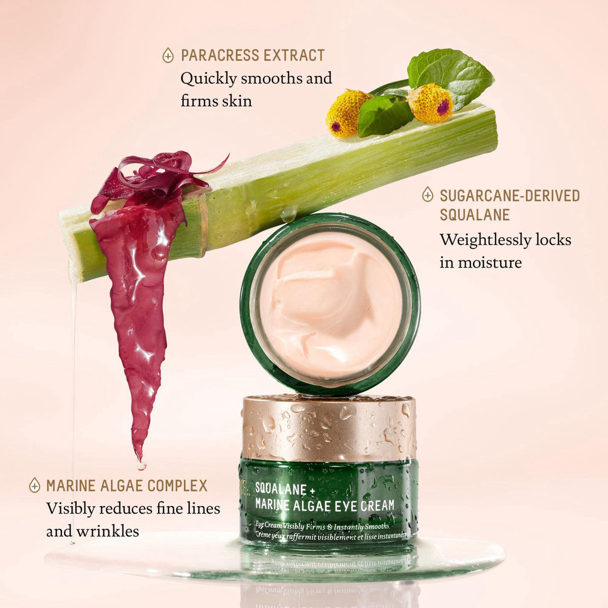 BIOSSANCE Squalane & Marine Algae Eye Cream - Anti-Aging - 0.5 oz – full view