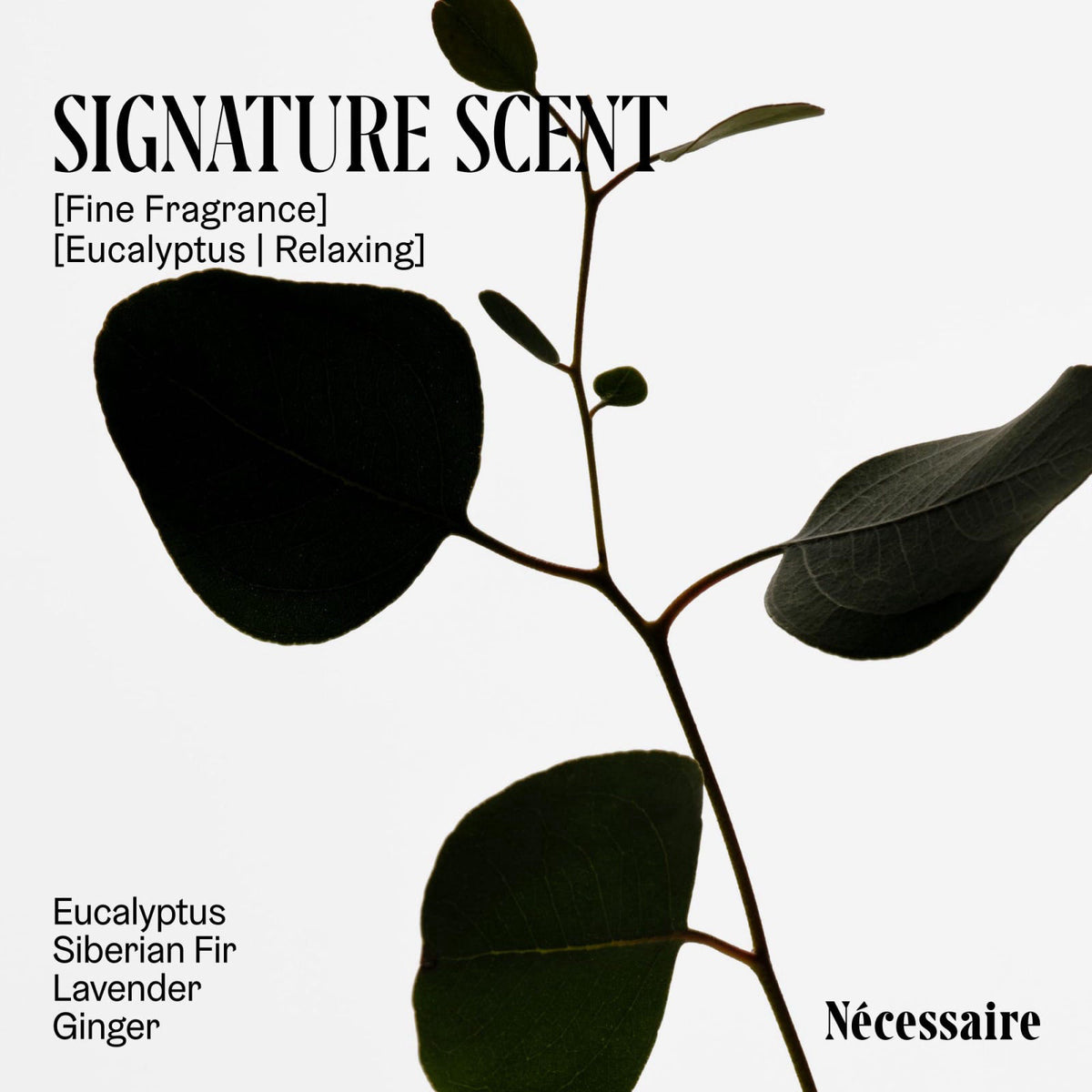 N&eacute;cessaire The Body Exfoliator Eucalyptus. Exfoliating Body Wash. KP Body Scrub. – packaging and label