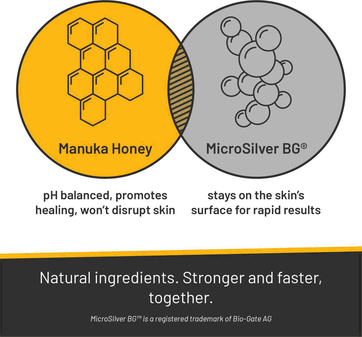 Absorbine Silver Honey Rapid Skin Relief Medicated Shampoo & Wound Wash, 16 fl oz – close-up detail
