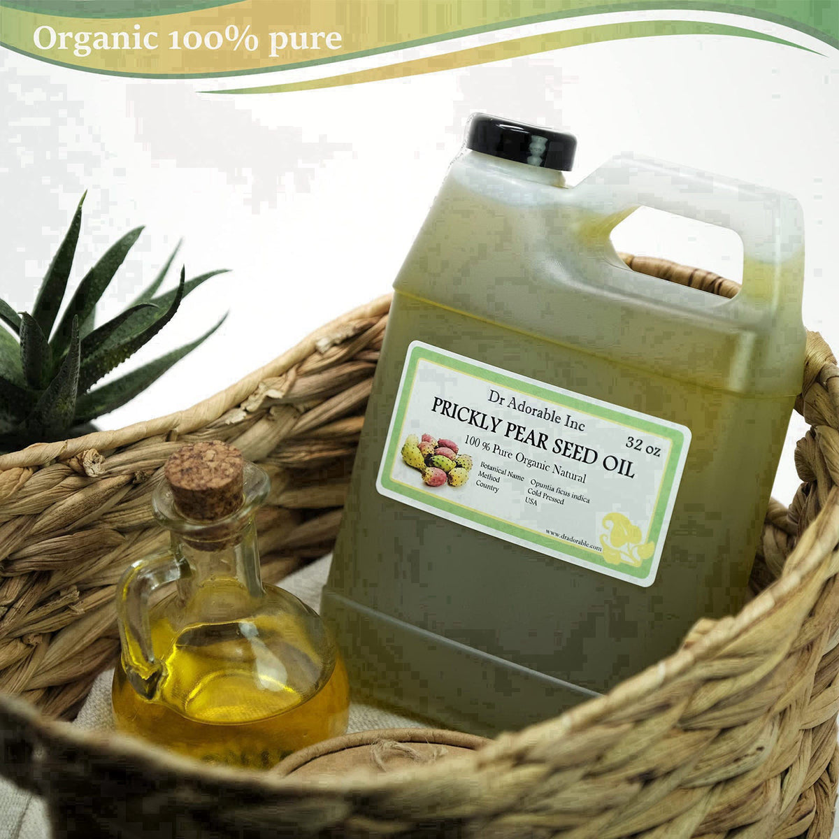 Dr Adorable - 32 oz - Prickly Pear Seed Oil - Pure Organic Cold Pressed – close-up detail