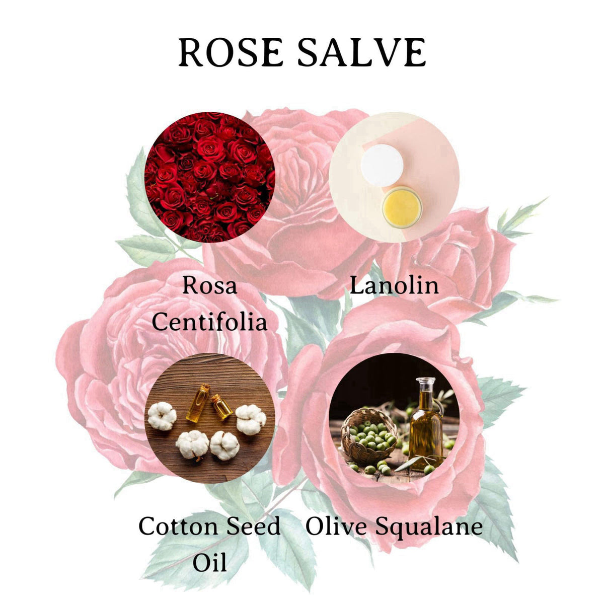 C. O. Bigelow C.O. Bigelow Rose Salve Tins, Pack of 3 Lip Balm Tins – full view
