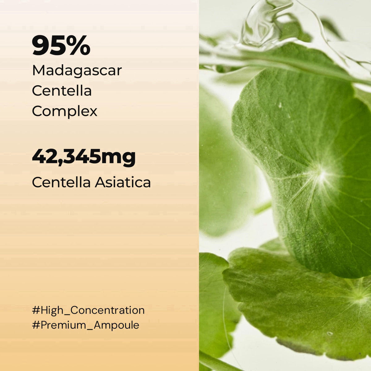 PAMSIBC Ampoule 100 Centella Asiatica | 950,000ppm Cica Extract | Redness Relief | Fragrance-Free Clean Minimal Non-Grea
