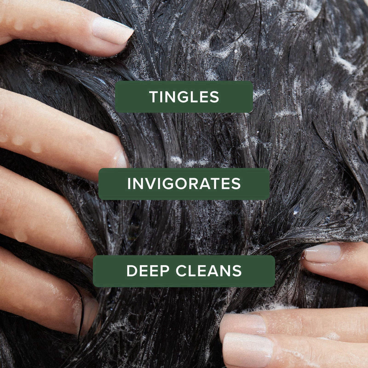 Tea Tree Special Shampoo, Deep Cleans, Refreshes Scalp, For All Hair Types, Especially Oily Hair – close-up detail