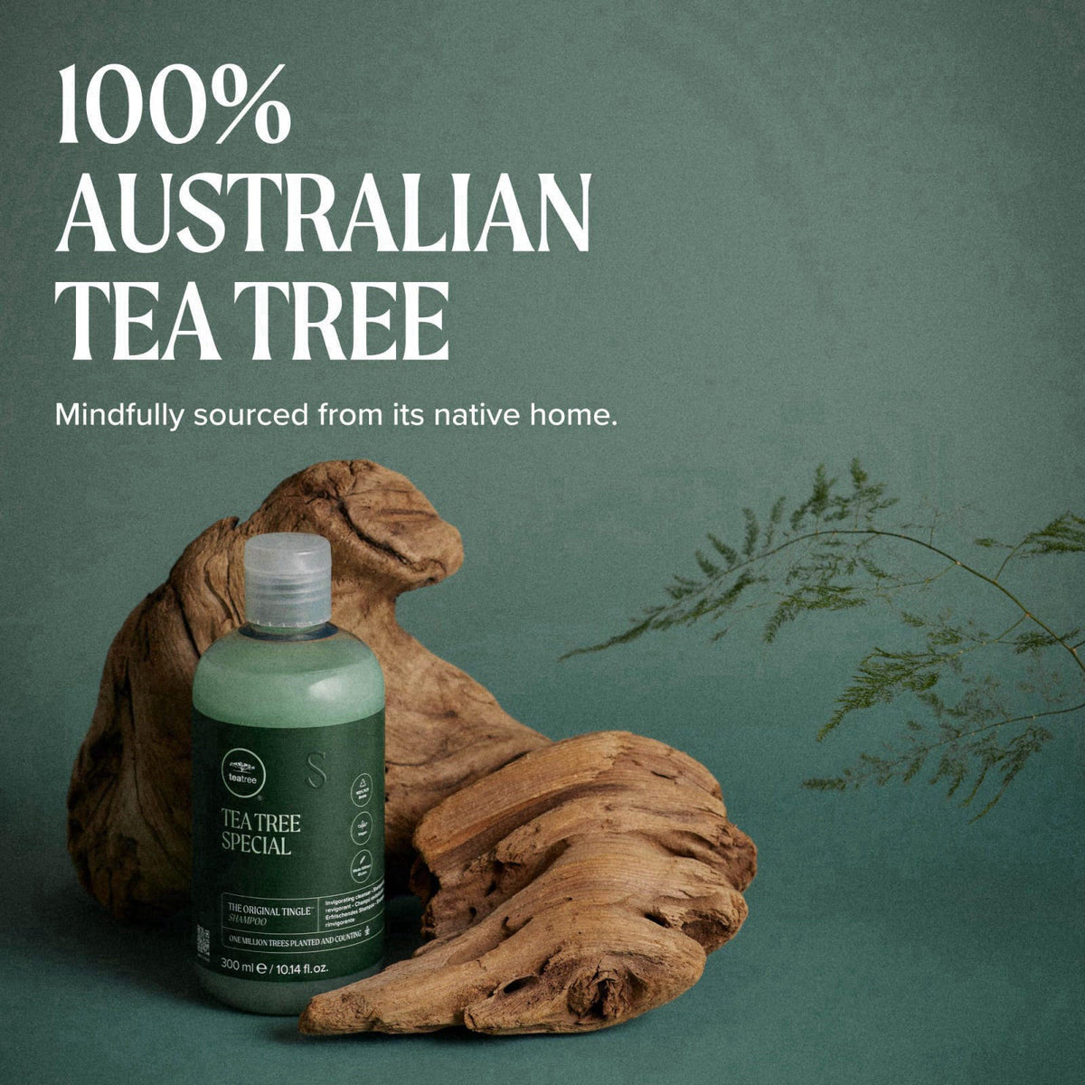 Tea Tree Special Shampoo, Deep Cleans, Refreshes Scalp, For All Hair Types, Especially Oily Hair – Shampoos on display
