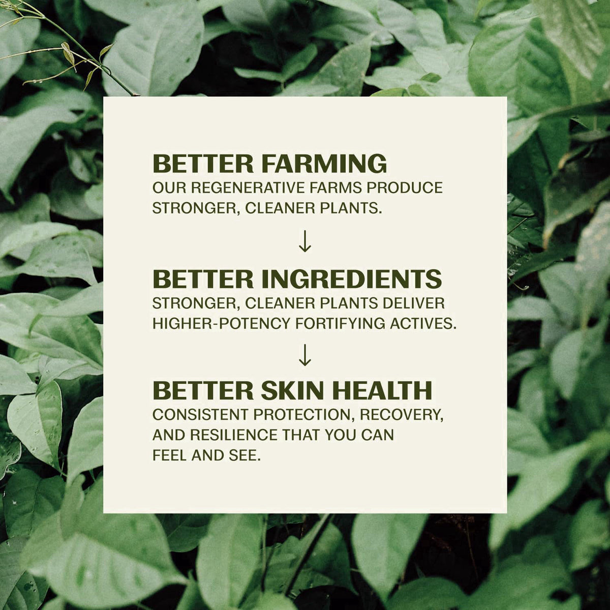 Thrive Natural Care – Facial Kits on display