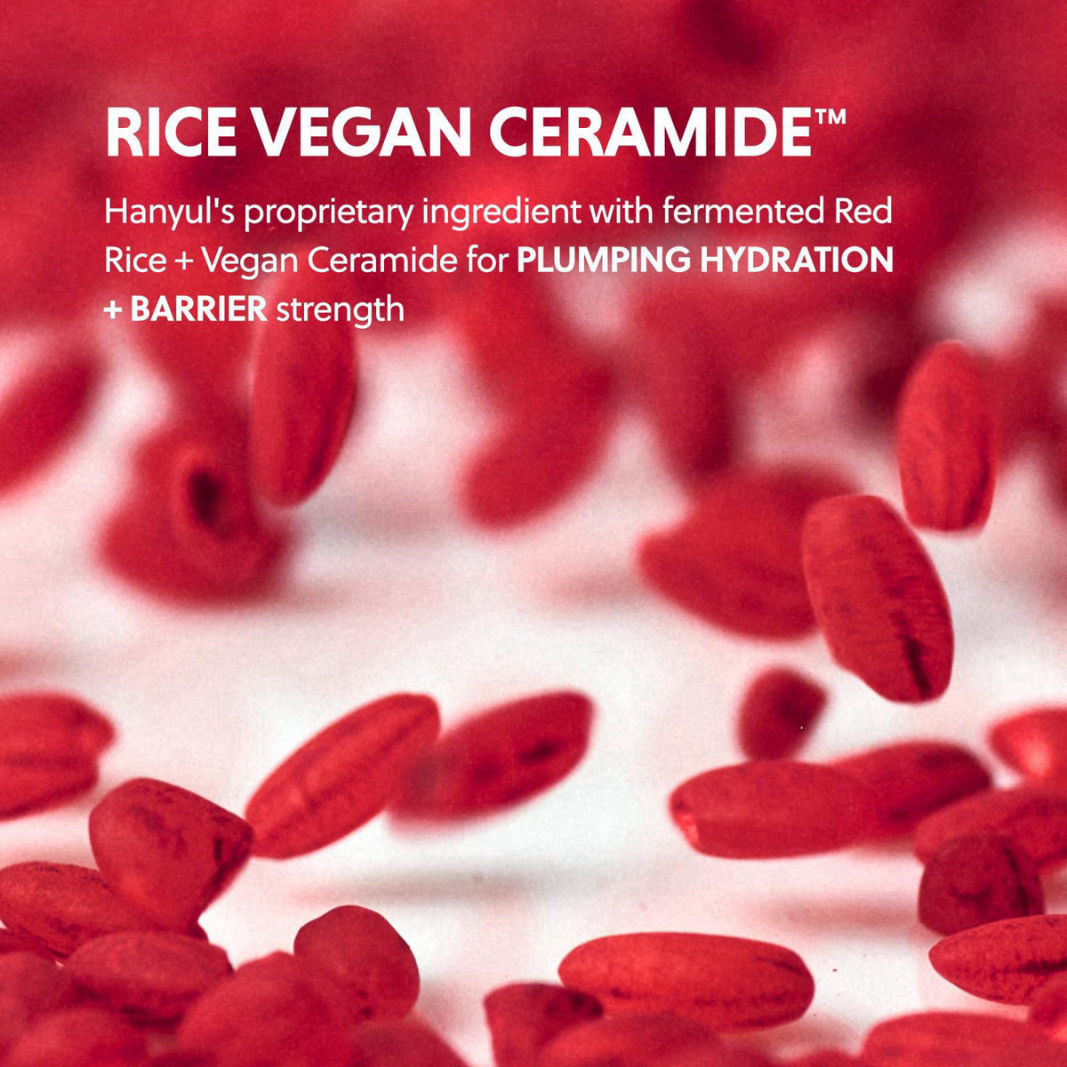 Hanyul Red Rice Hydrating Cream – full view