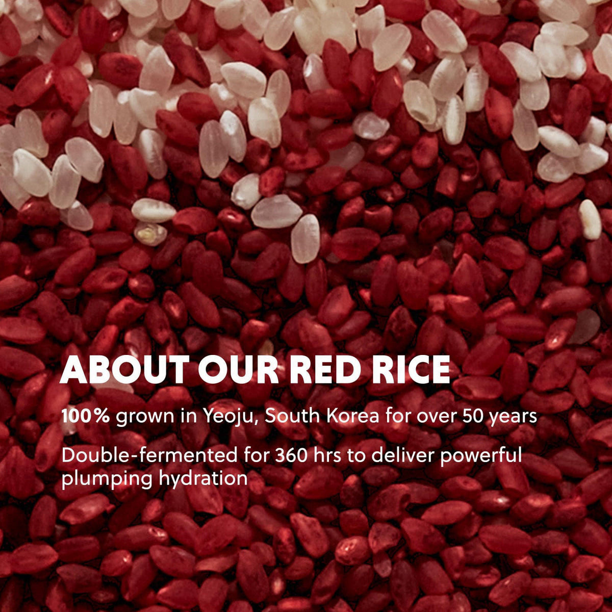 Hanyul Red Rice Hydrating Cream – alternate angle