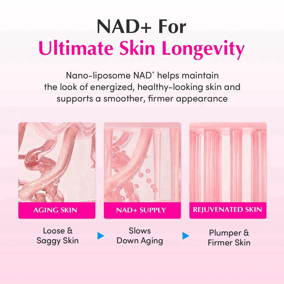 EQQUALBERRY NAD+ Peptide Boosting Firming Cream, 1.69 fl oz, Pack of 2 – alternate angle