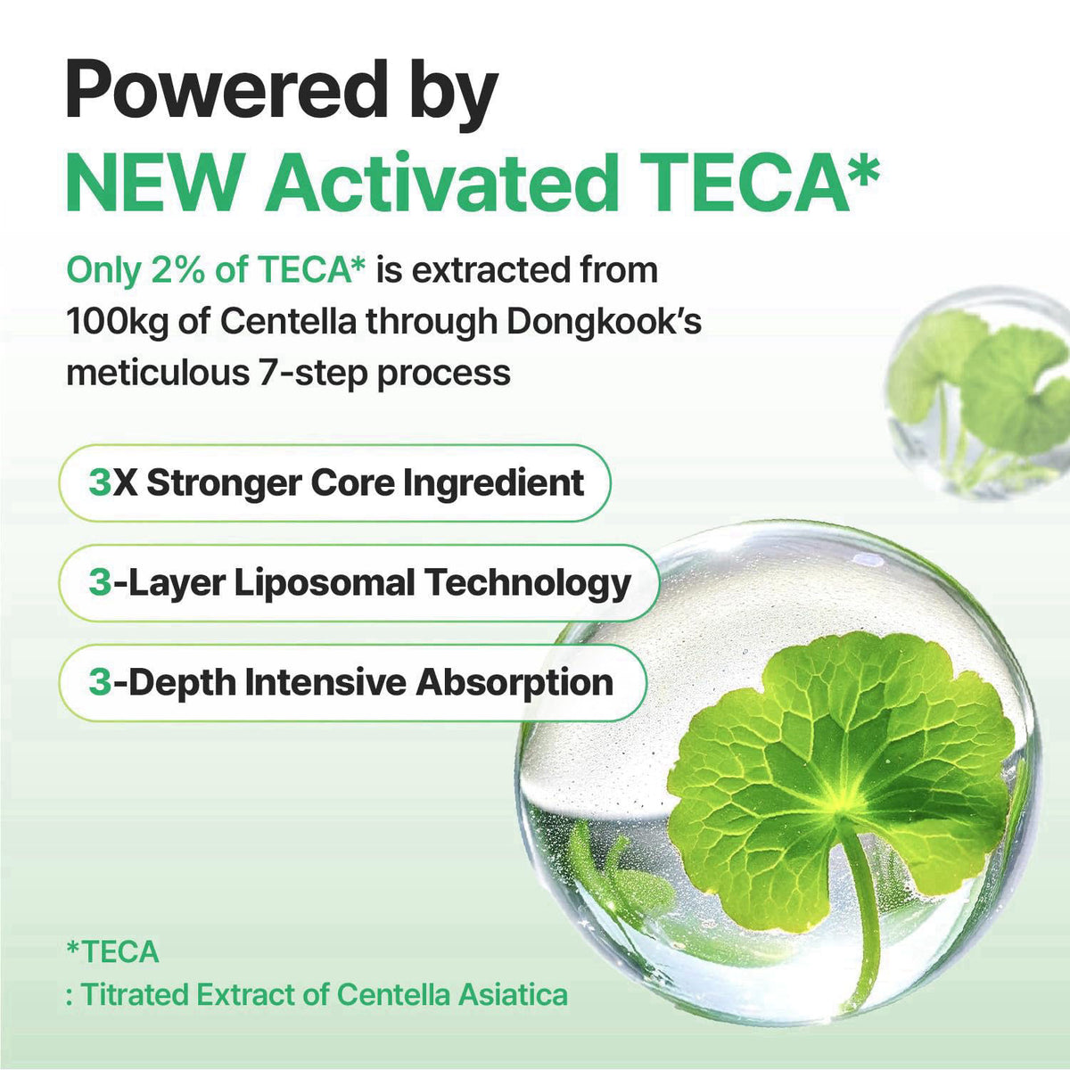 CENTELLIAN 24 Madeca Cream Time Reverse, TECA Moisturizer (2-Pack) – alternate angle