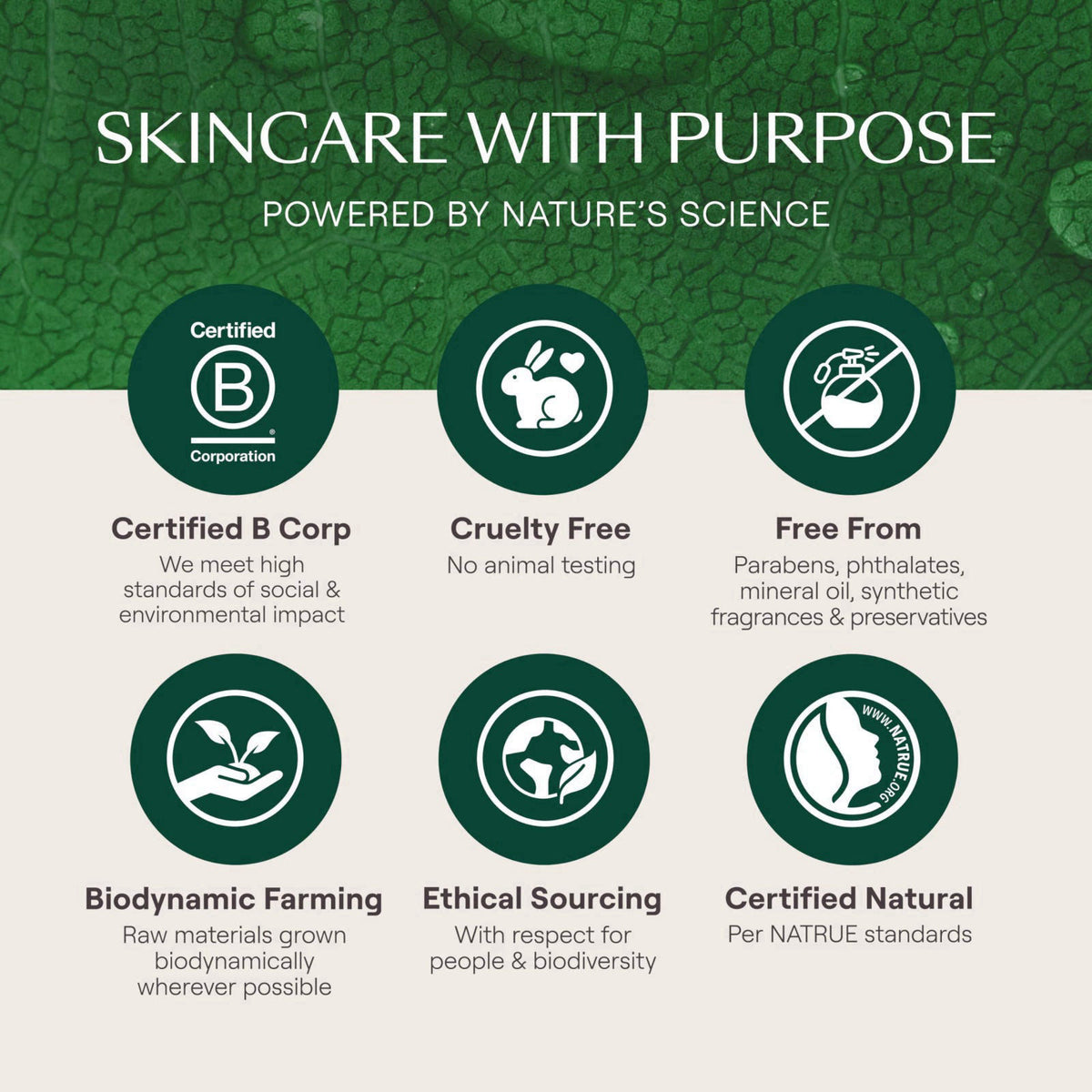 Weleda - Skin Food Light Moisturizing Cream 3-pack - Fast-Absorbing, Ultra-Hydrating Formula with Sunflower Oil and Pans