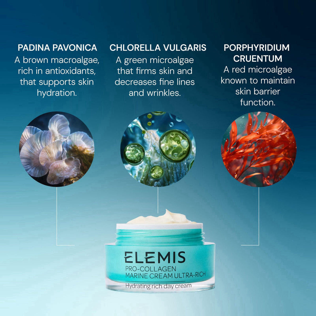 ELEMIS Pro-Collagen Marine Cream Ultra Rich, Anti-Wrinkle Cream – back view and specifications