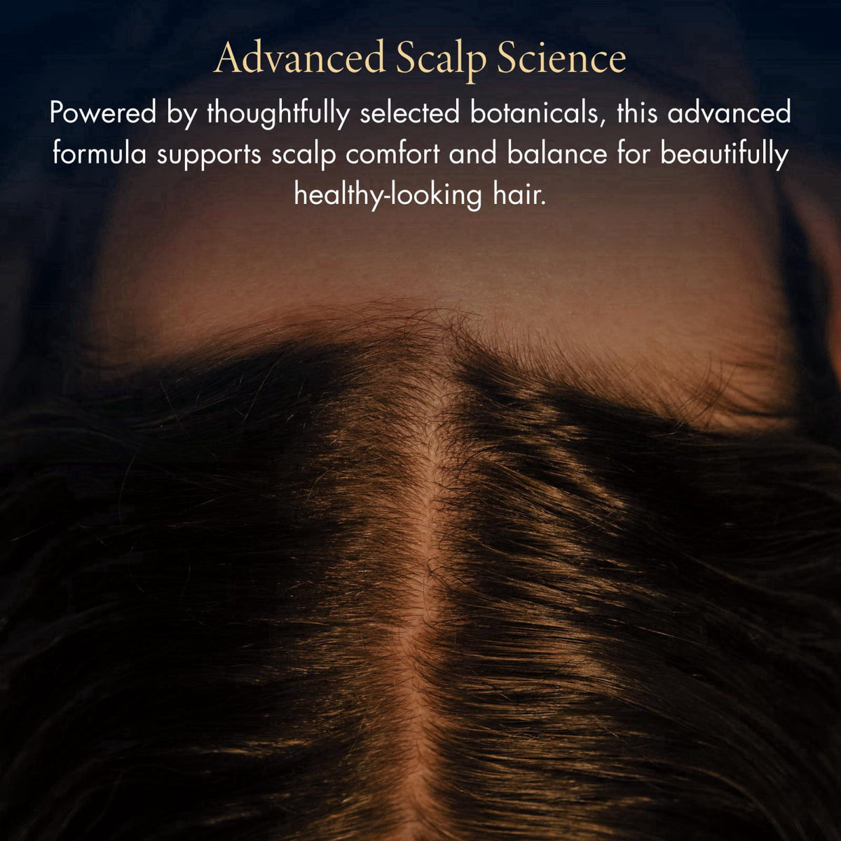 YOLU - Scalp Serum with Rosemary Extract - Japanese Overnight Scalp Treatment for Dry, Oily, Itchy & Sensitive Skin - Le