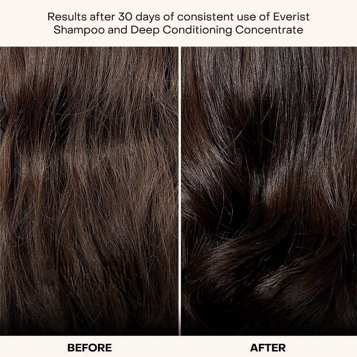 Everist Haircare Essentials Duo, Shampoo & Deep Conditioning Concentrates – close-up detail