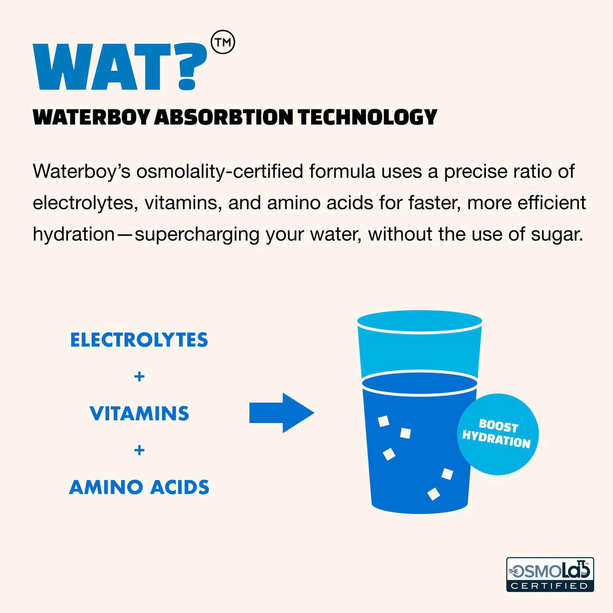 WaterBoy Daily Hydration, Sugar Free Electrolytes (Strawberry Lemonade (15ct)) – alternate angle