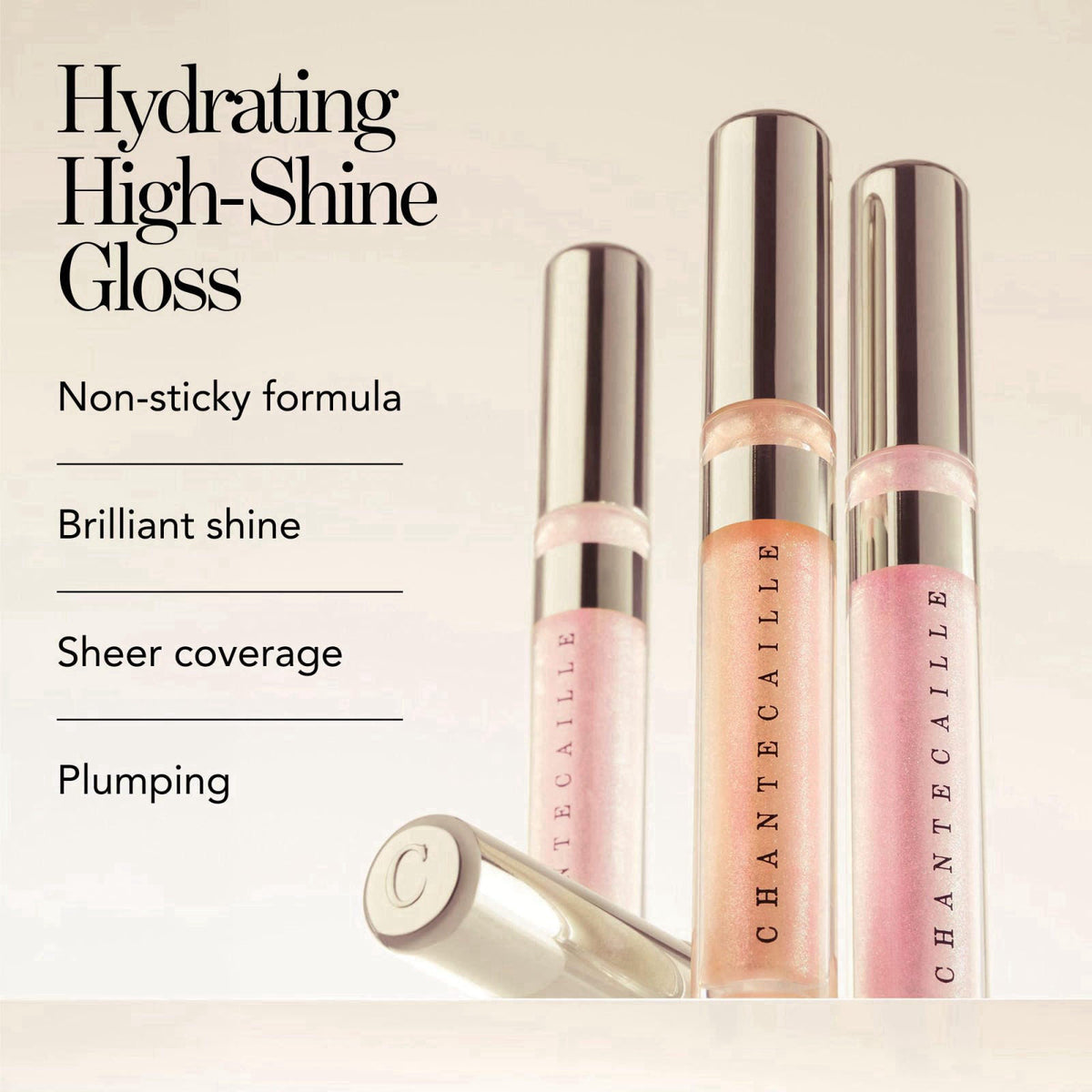 Chantecaille Brilliant Lip Gloss, Hydrating High-Shine Plumping Lip Gloss with Goji Berry and Raspberry – packaging and 