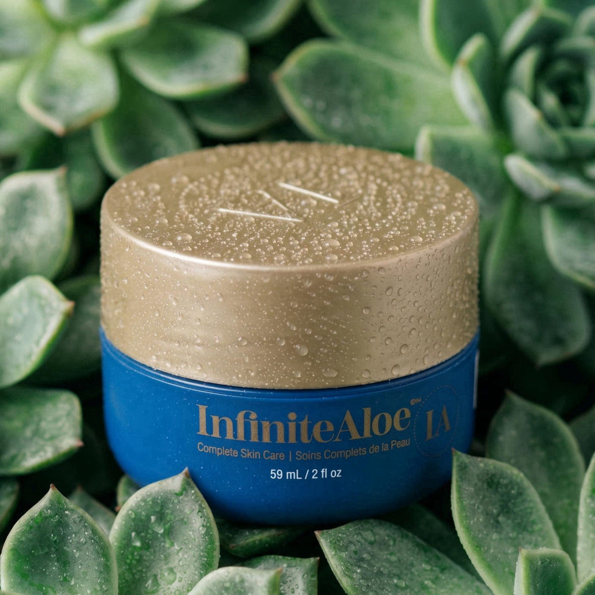 InfiniteAloe Complete Skin Care, Aloe Vera Powered Face and Body Cream for All Skin Types, Midnight Scent (Small Jar 2 o