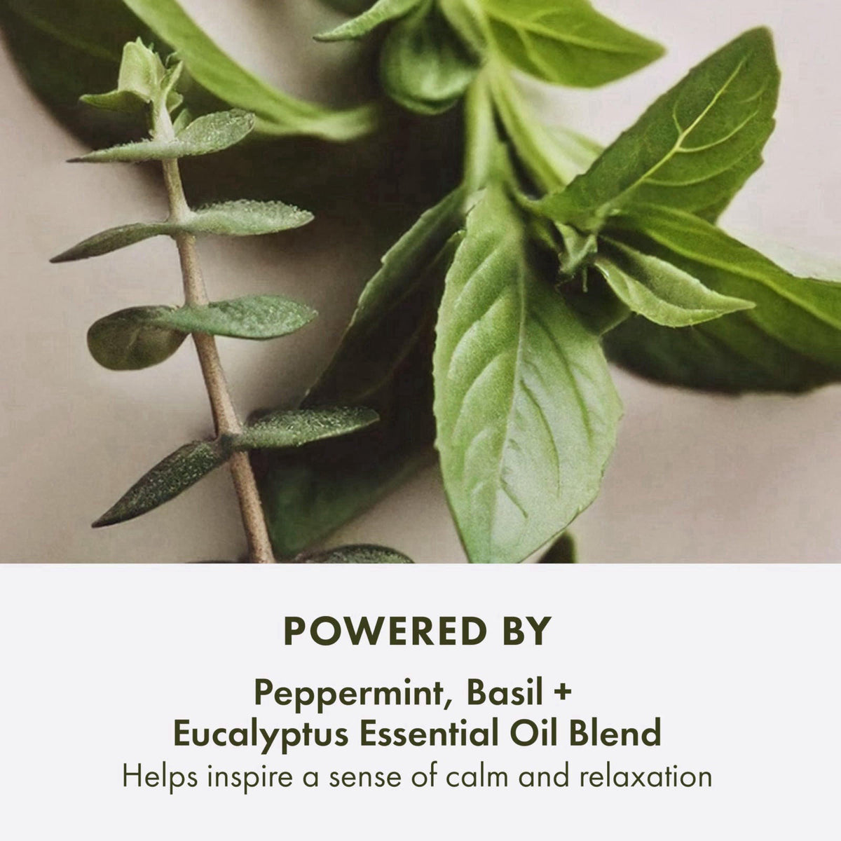 Origins Peace of Mind On-the-Spot Relief | Relaxing Aromatherapy Experience With Eucalyptus, Peppermint & Basil Essentia