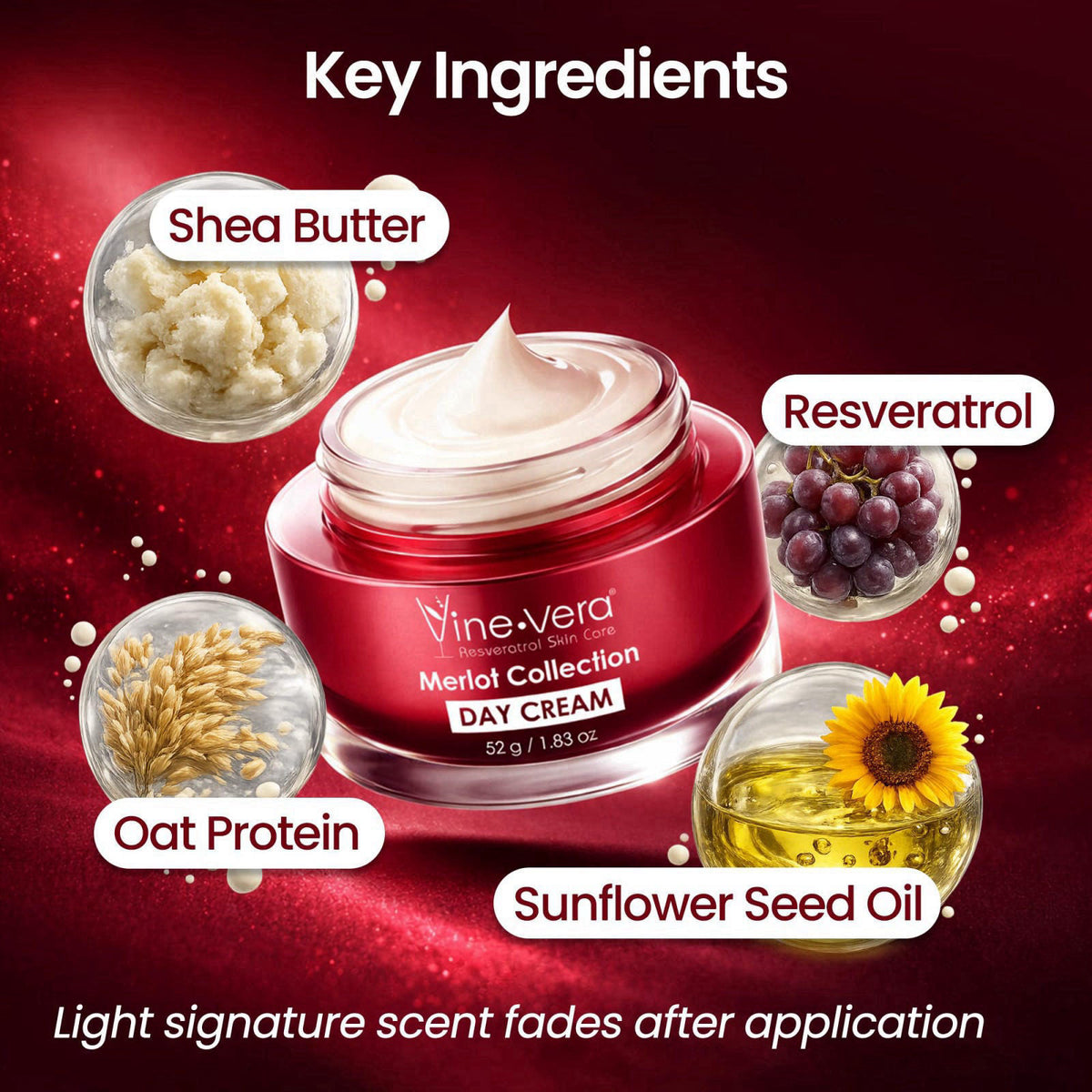 Vine Vera – Face Moisturizers on display