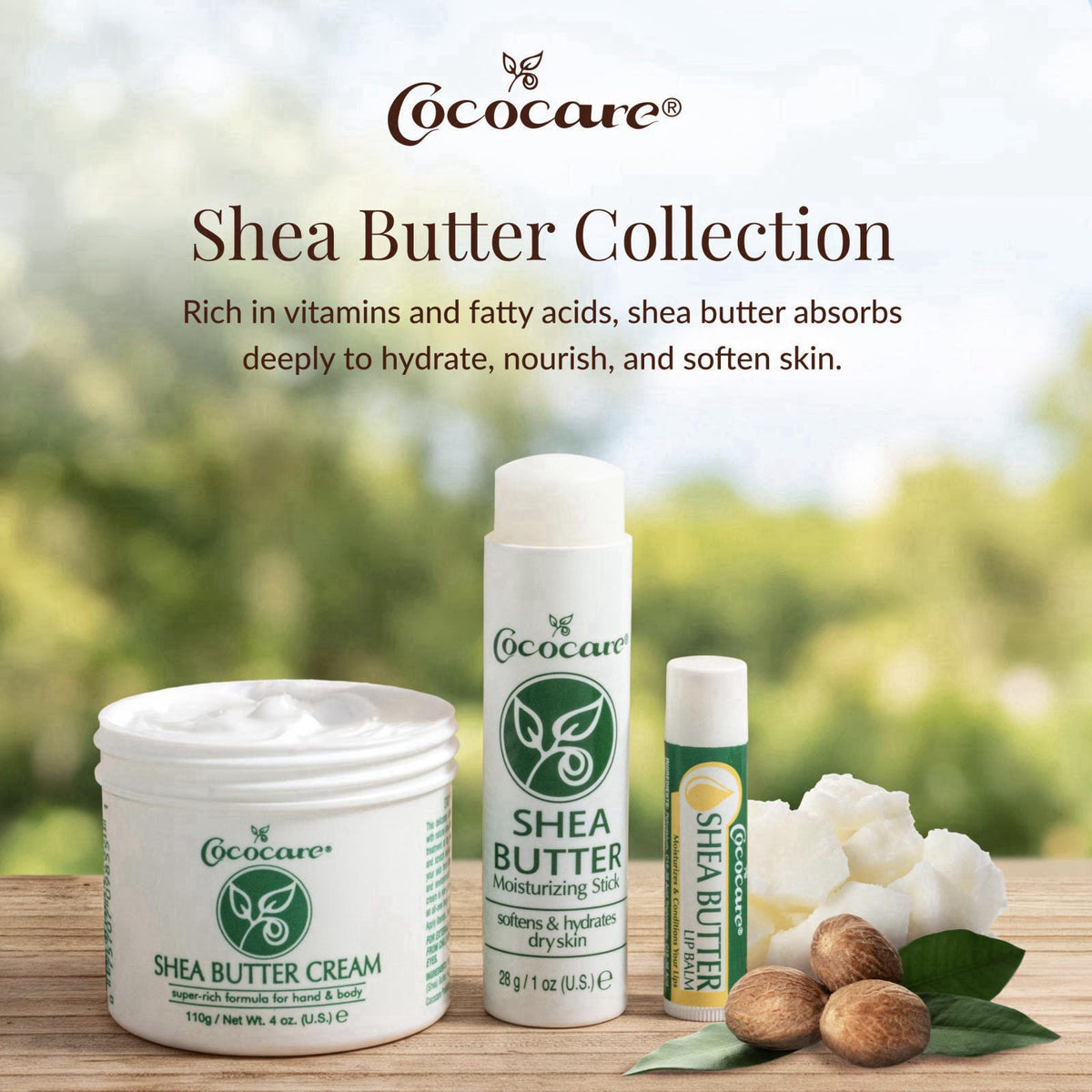 Cococare Shea Butter Lip Balm with Vitamin E & Aloe Vera, 0.15 oz, 10 Pack – back view and specifications