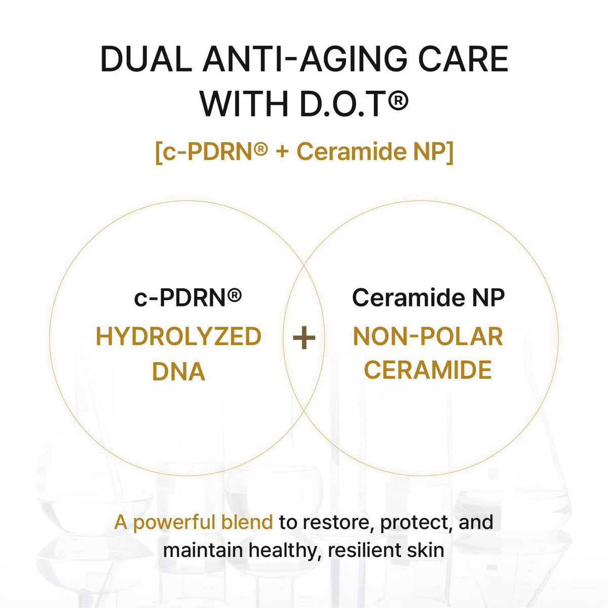 REJURAN Dual Effect Ampoule DOT DUAL cPDRN Face Serum 0.33 floz Travel Size – alternate angle
