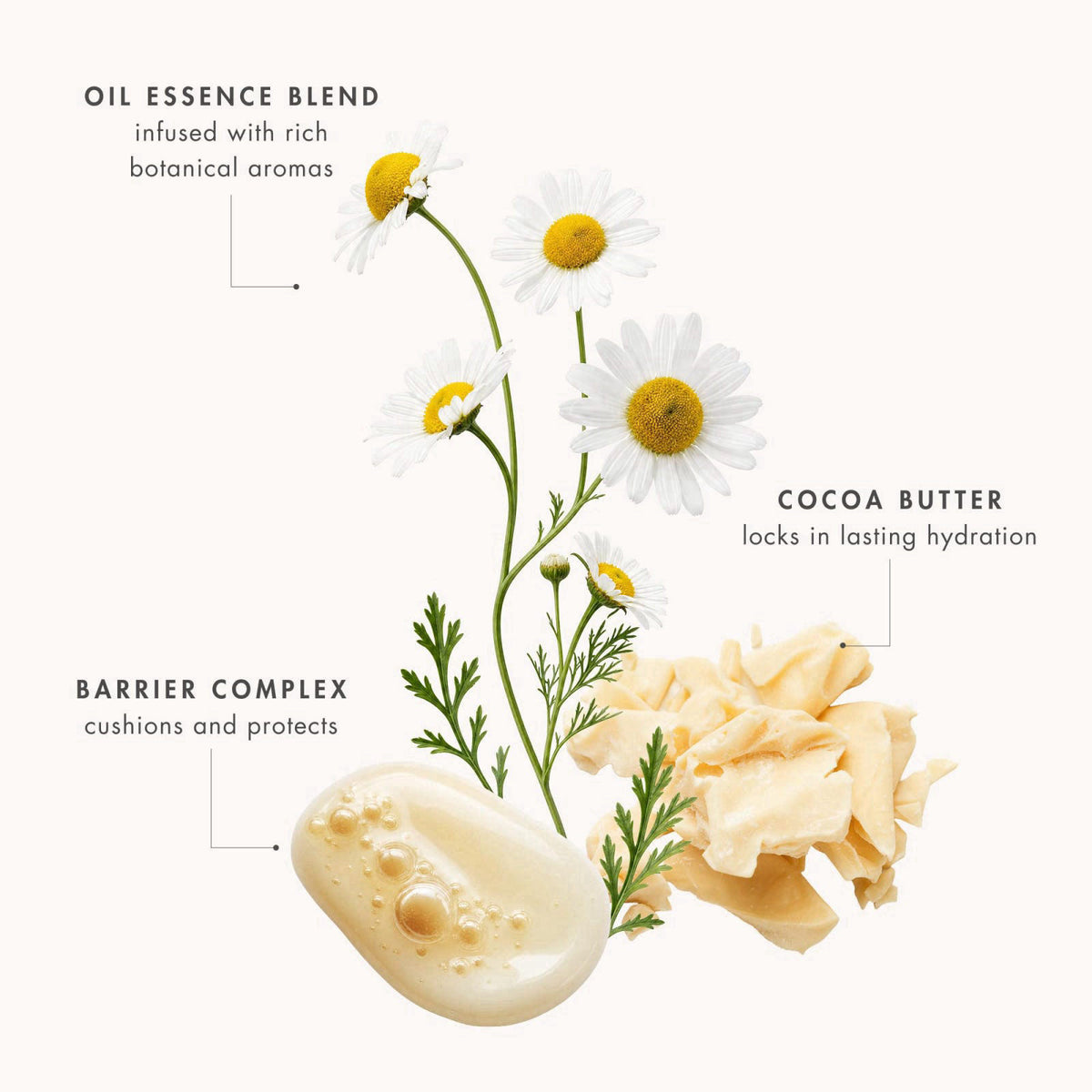 EVE LOM The Original Balm Cleanser - Facial Cleansing Balm – back view and specifications