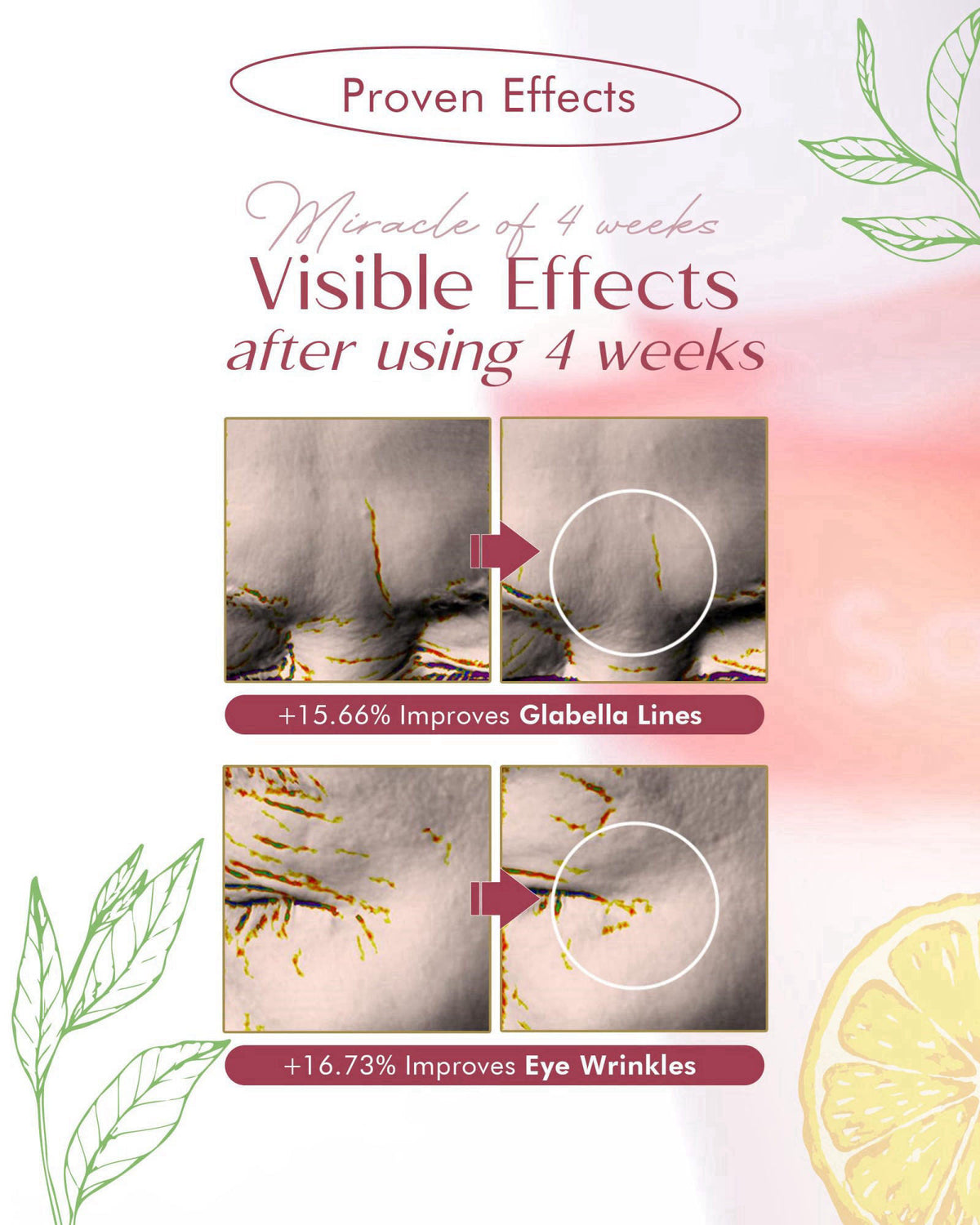 SKINCURE Sandawha Double Effect Anti-Wrinkle Serum with Camellia Extract - Korean Skincare Vegan Camellia Serum for Fine