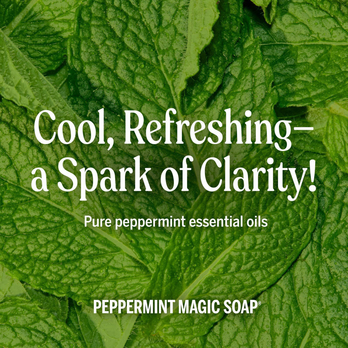 Dr. Bronner's Peppermint Pure-Castile Liquid Soap, Body Wash, 32 oz 2-Pack – back view and specifications