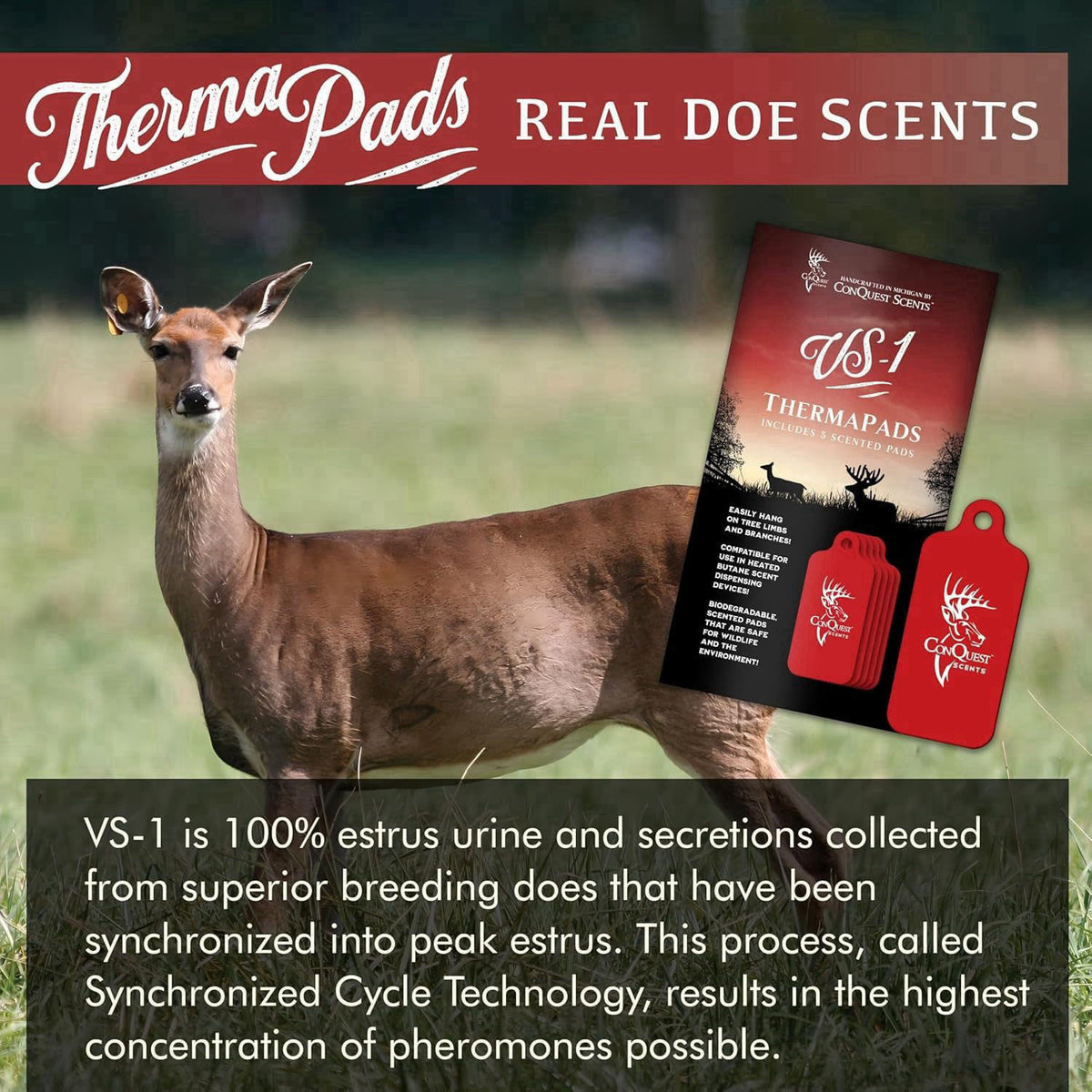 Conquest Scents ThermaPads, Deer Attractant, Hunting Scent Pads – alternate angle