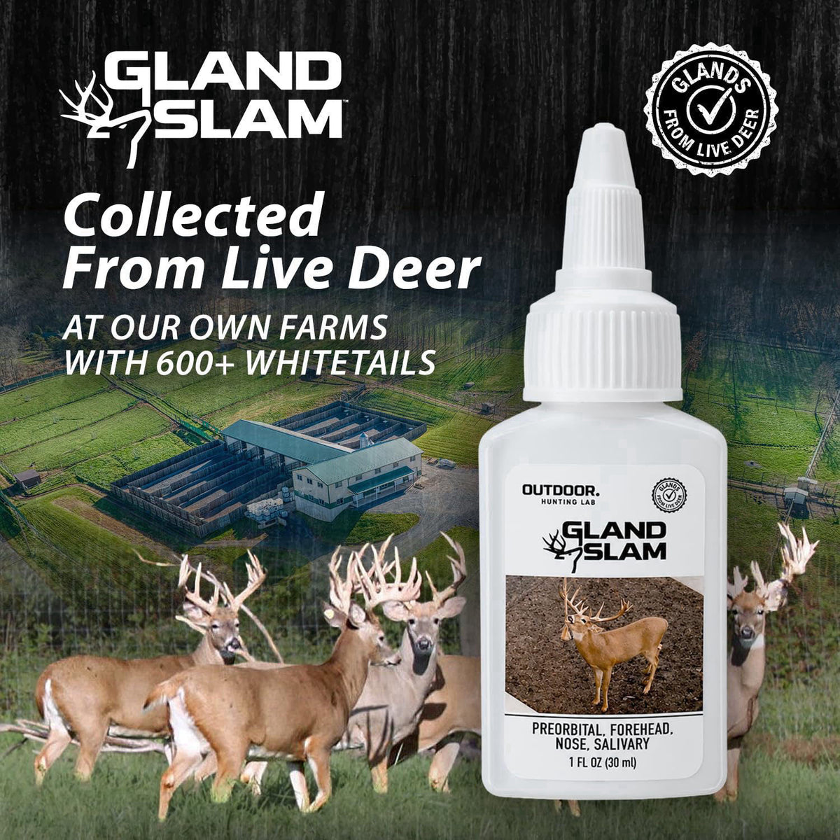 Outdoor Hunting Lab Gland Slam Whitetail Multi-Gland Deer Scent – close-up detail in 1 oz w/ Scrape Rope