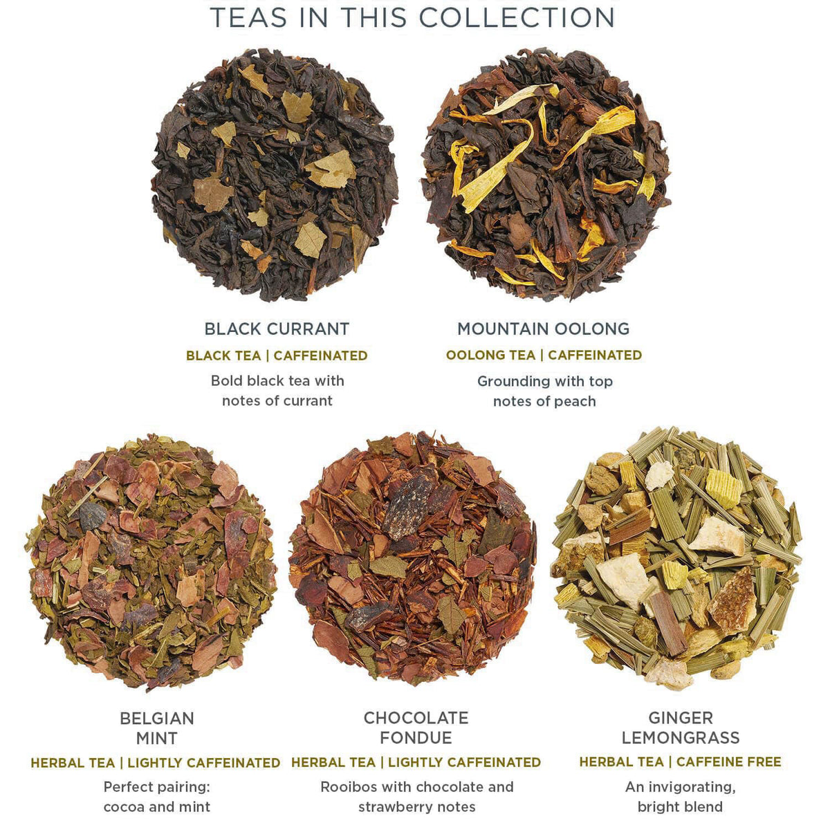 Tea Forte Tea Sampler, 10 Pyramid Infuser Bags, Premium Tea Gift Set – back view and specifications