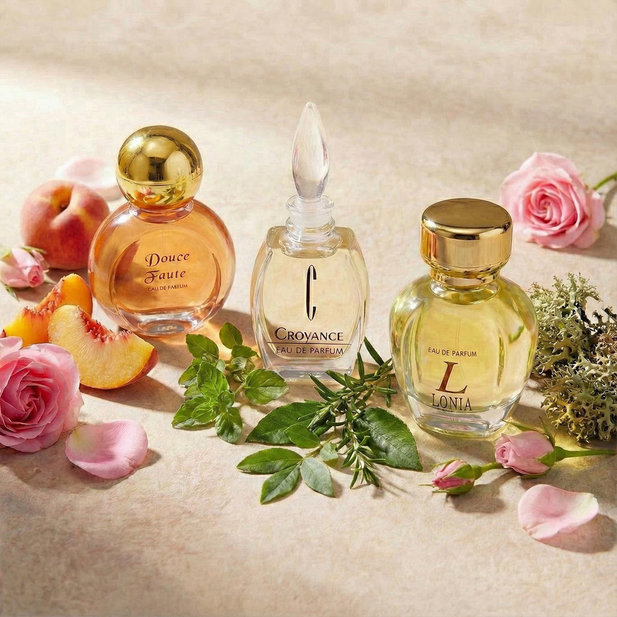 Charrier Parfums 10 Eaux de Parfum Luxurious Gift Box - Made in Provence, France - 57.8 ml – full view