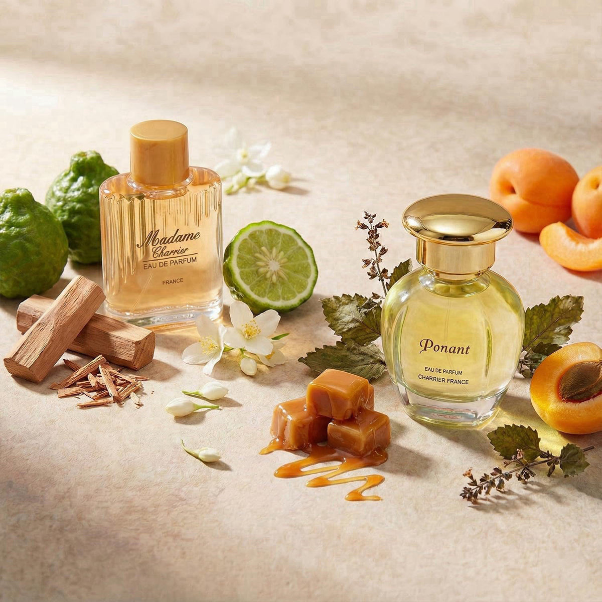 Charrier Parfums 10 Eaux de Parfum Luxurious Gift Box - Made in Provence, France - 57.8 ml – alternate angle