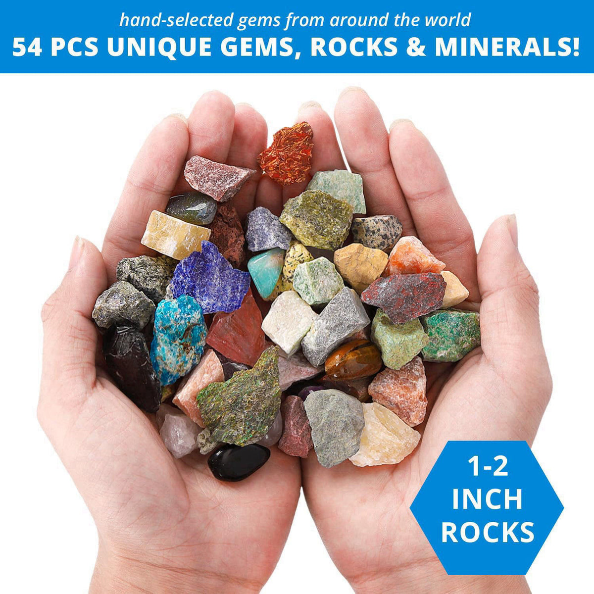 PIBEX Rock Collection Starter Kit, 54 Rocks & Minerals with Name Labels – full view