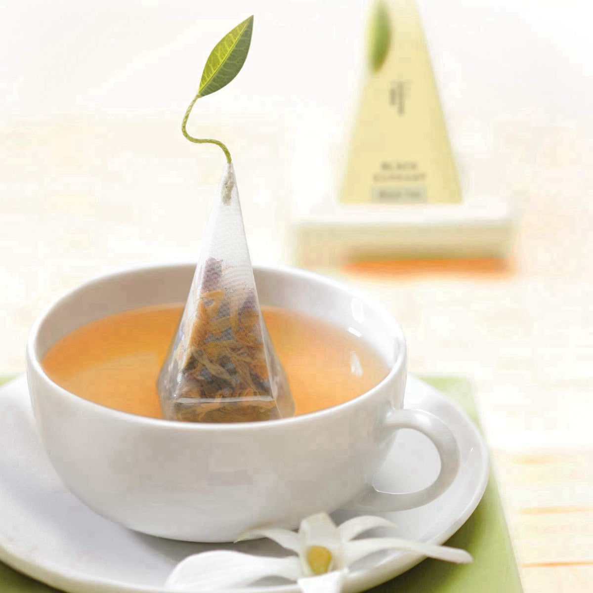 Tea Forte Tea Sampler, 10 Pyramid Infuser Bags, Premium Tea Gift Set – full view