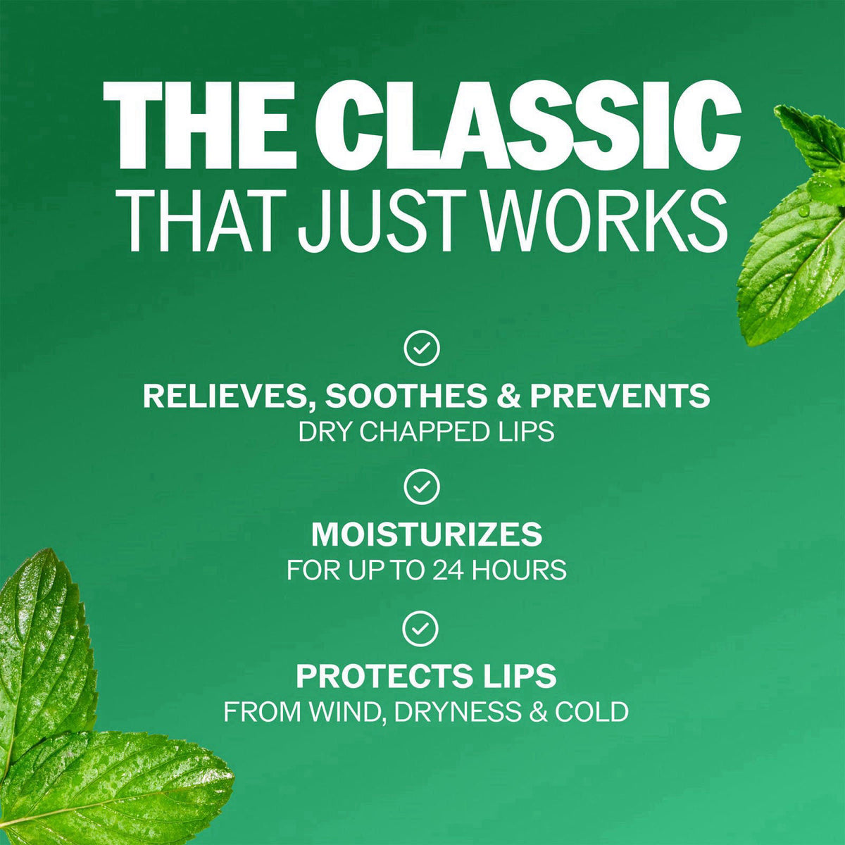 ChapStick Classic Spearmint Lip Balm, Bulk 12-Pack – back view and specifications