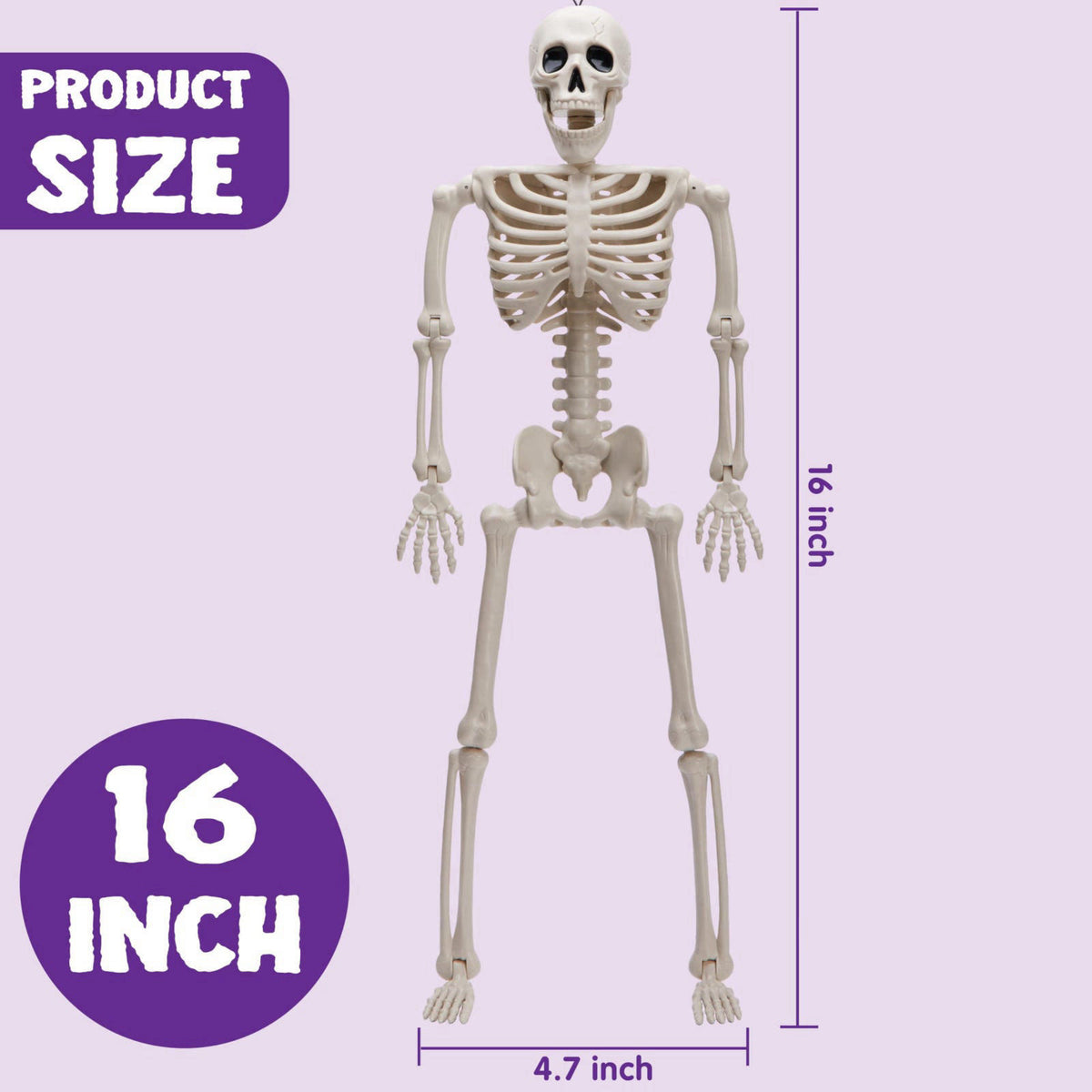 JOYIN 5 PCS Posable Halloween Skeleton Decor 16 Inches, Full Body Posable Joints Hanging Skeletons for Halloween Decorat