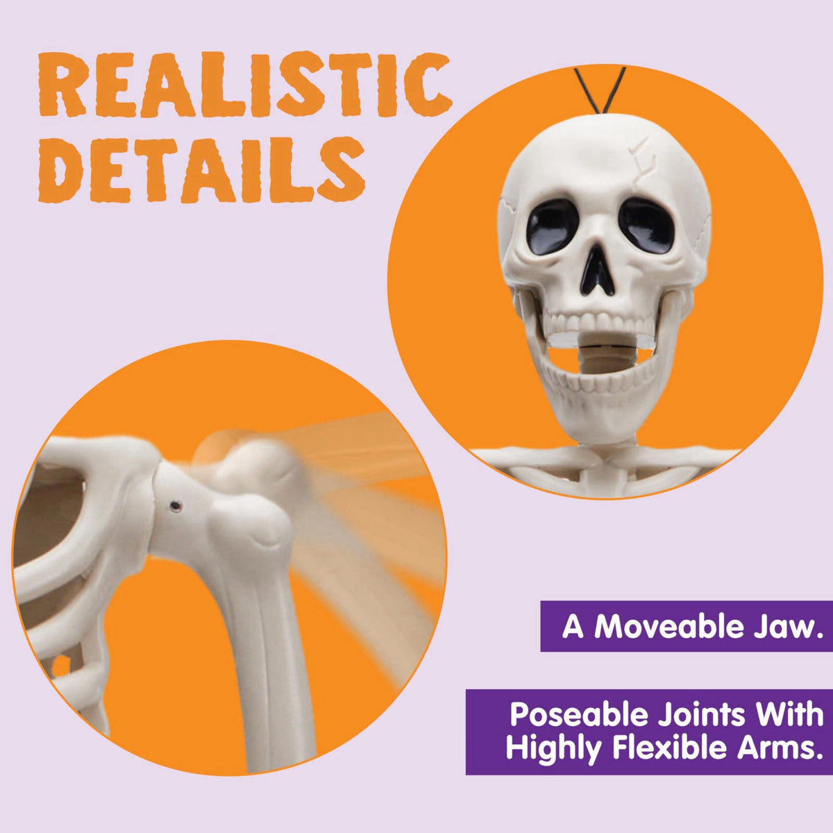 JOYIN 5 PCS Posable Halloween Skeleton Decor 16 Inches, Full Body Posable Joints Hanging Skeletons for Halloween Decorat