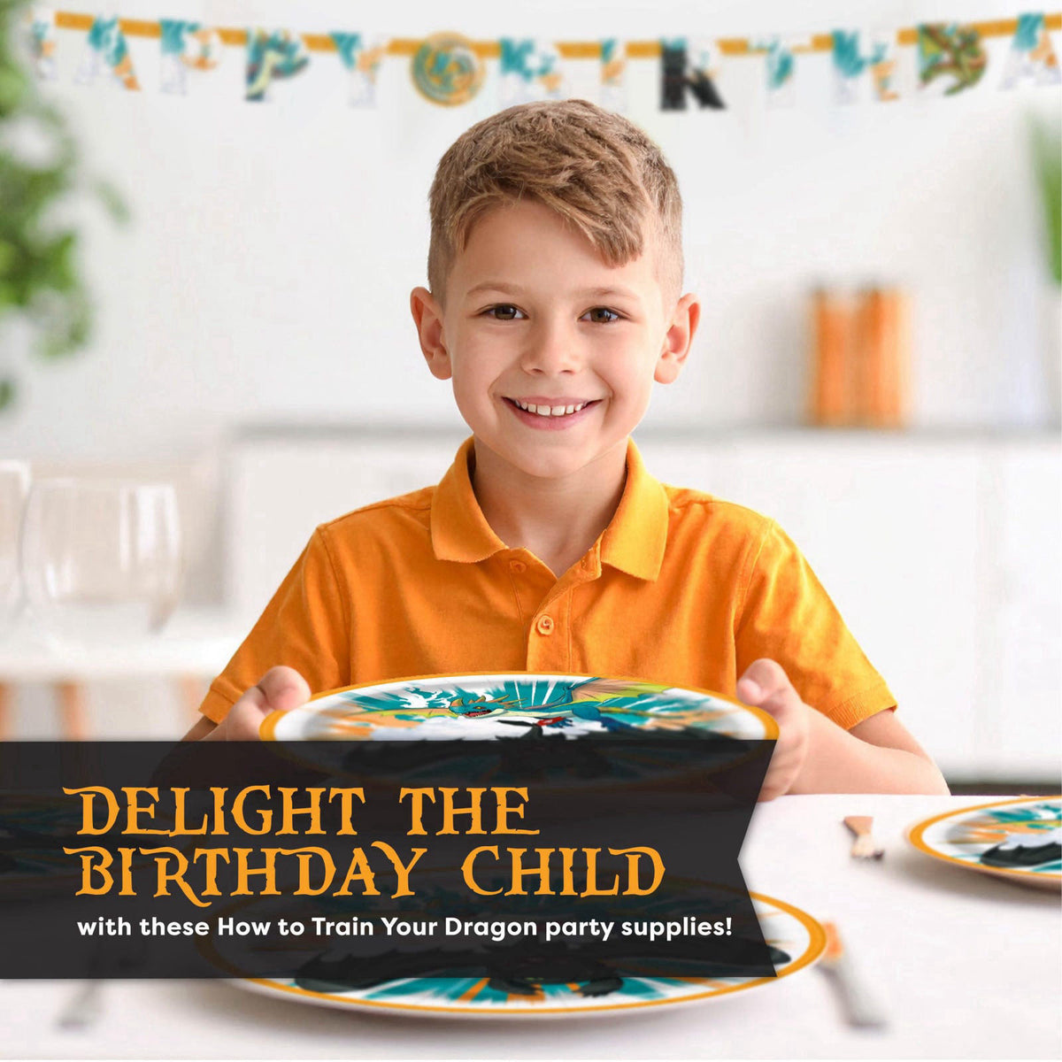 Unique How to Train Your Dragon Party Supplies - Banner Tablecloth Plates Napkins – alternate angle